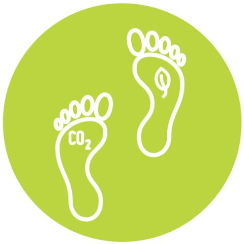 Image of footprints with a tree leaf symbol and CO₂.